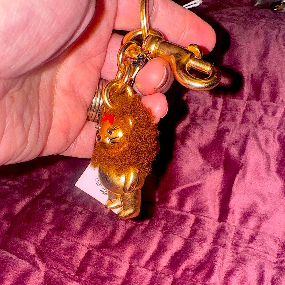 Coach Nwt 2018 Retired Coach Wizard of Oz Bear Keychain Charm the cowardly lion. - Picture 8 of 13
